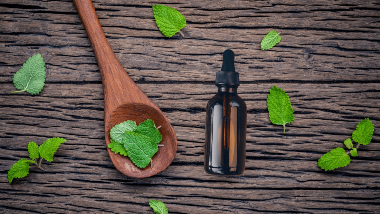 Melisa Aj Tinktura Ekstrakt